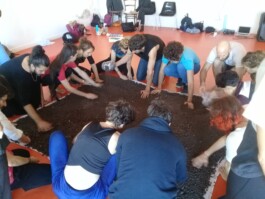 Laboratorio de Acción (LdA)